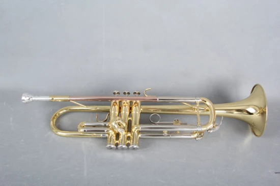 Tromba/ Tromba in Sib/ Ottoni / Strumenti musicali / Tr